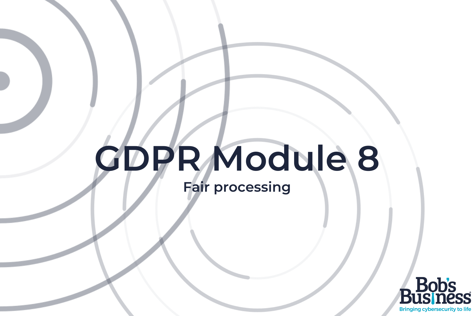 GDPR 8